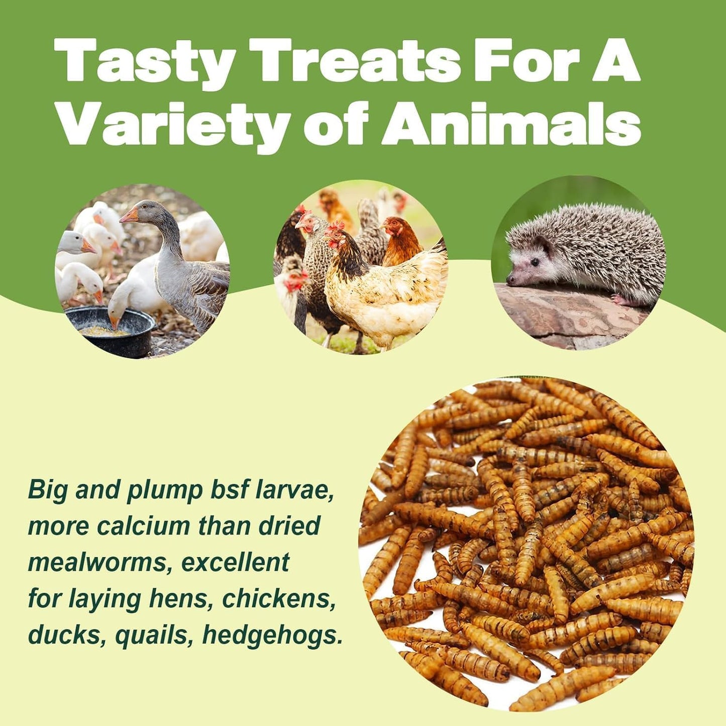 5LB Dried Black Soldier Fly Larvae, 86X Calcium Than Dried Mealworms, High Protein Non-GMO Organic Chicken Feed