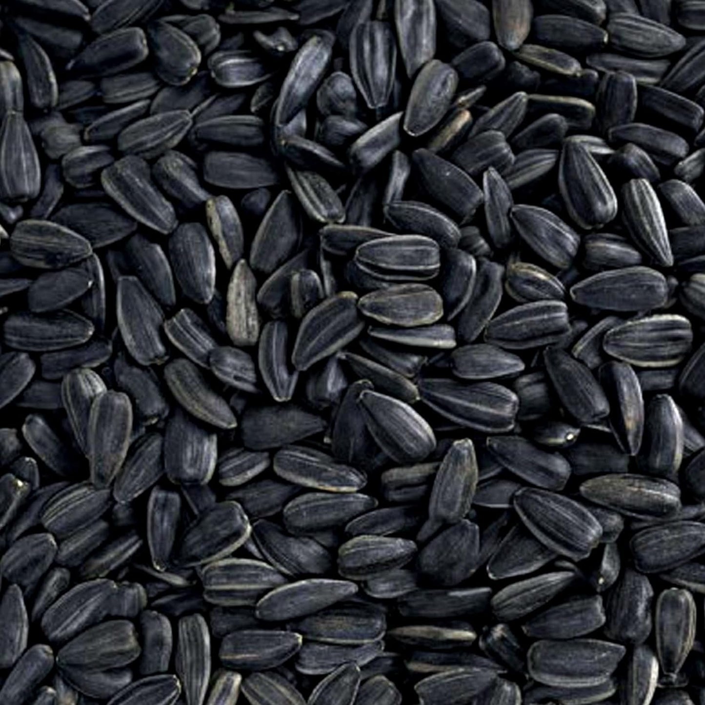 Black Oil Sunflower Seeds Wild Bird Food- 15 Pounds | No Grow Seed | Bird Seed for Wild Birds