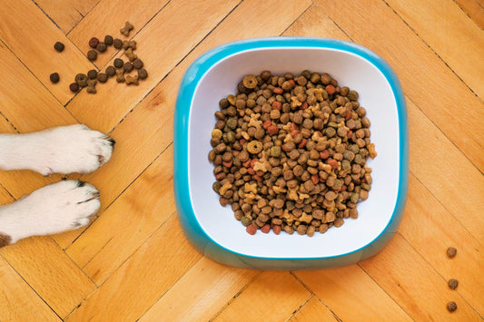 How to Select Healthy Pet Treats for Dogs and Cats