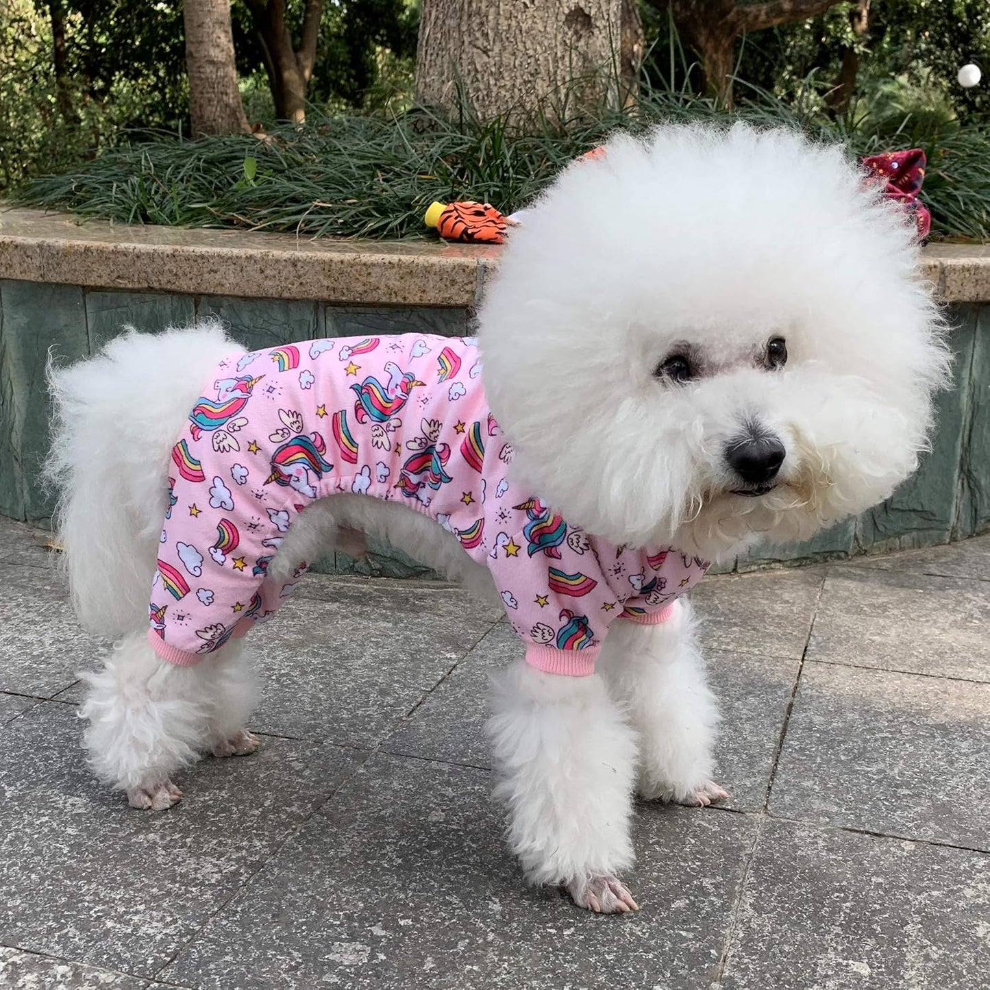 CuteBone Small Dogs Outfit Soft Puppy Onesies Pjs Dog Pajamas Pet Coat Cat Apparel Comfy Doggie Jumpsuit Bodysuit for All Seasons P67S